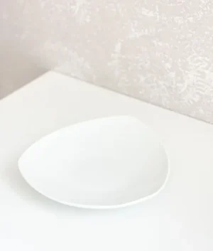 Ceramic Shield Dish set of 06