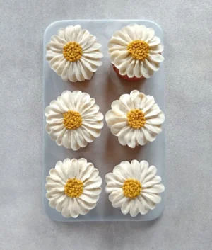 Daisy Cupcakes | Box of 12