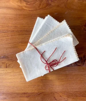 Ivory Napkins with Embroidered Edging | Set of 6