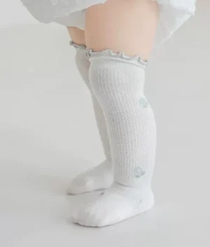 Kids Girl Knee High Mesh Socks | Shopee | Set of 5