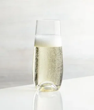 Lulie Stemless Champagne Glass set of 4 | Imported