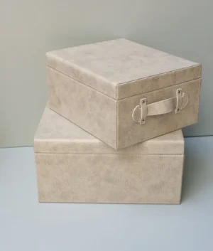 Luxe Rectangle Box (Set Of Two)