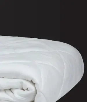 Mattress Protector | Queen Size