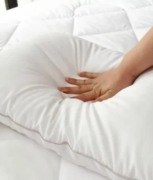 Premium Gel Pillow