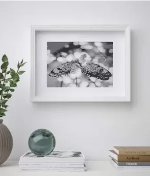 VASTANHED Picture Frame White Set of 4 | Imported