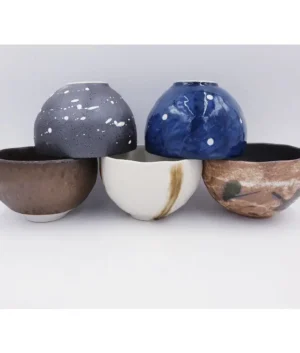 Wanokokoro 5pc Don Bowl Set | Imported