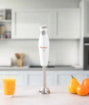 Moulinex Stick Mixer Easy Chef 450W | Promotional Price